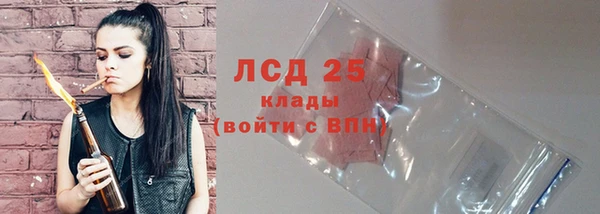 стафф Аркадак