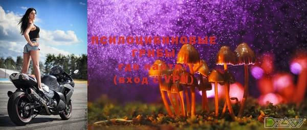 стафф Аркадак