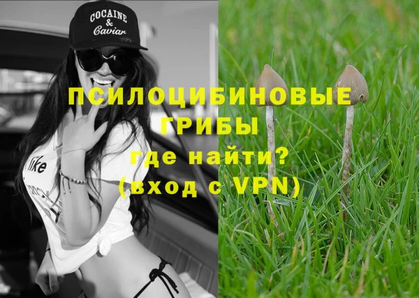 стафф Аркадак