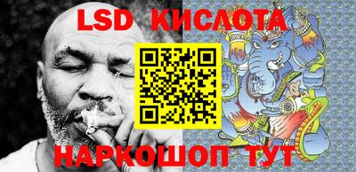 СК Новозыбков