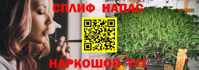 СК Новозыбков