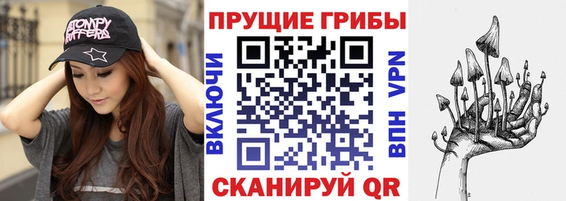 Псилоцибиновые грибы мухоморы  KRAKEN как войти  Чебоксары 