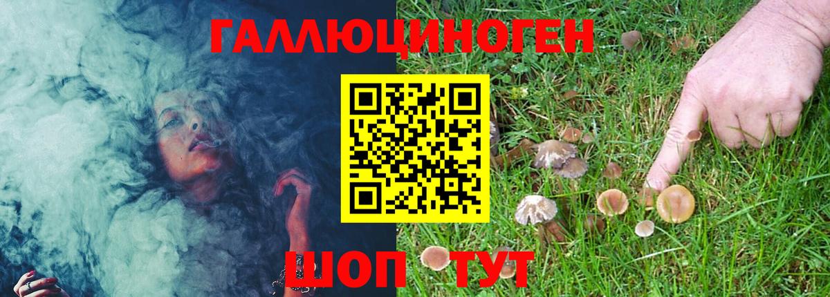 Галлюциногенные грибы MAGIC MUSHROOMS  Вход с VPN  Псилоцибиновые грибы Cubensis  Чебоксары 